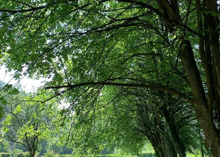 La Porterie De L'abbaye De Marche Les Dames נמור